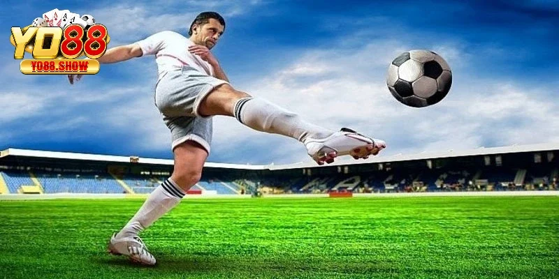 Người chơi có thể đặt cược vào tỷ lệ Hong Kong theo quy định trang game