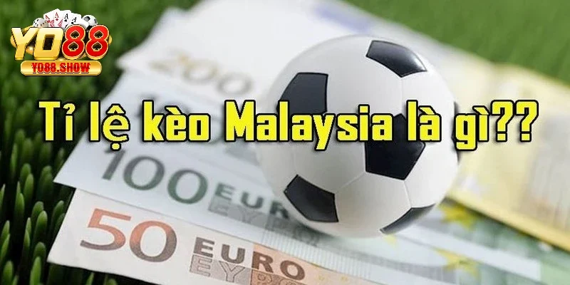 Tỷ lệ kèo Malaysia rất phổ biến tại trang web cá cược uy tín